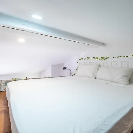 Yogi Loft